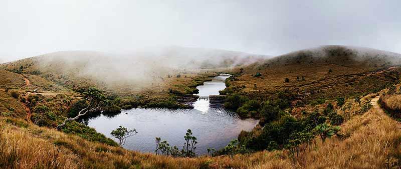 Image result for Horton plains