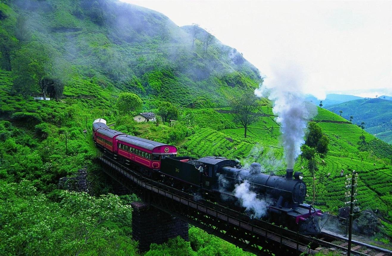 Image result for nuwara eliya by train