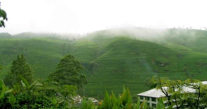 Image result for nuwara eliya cold