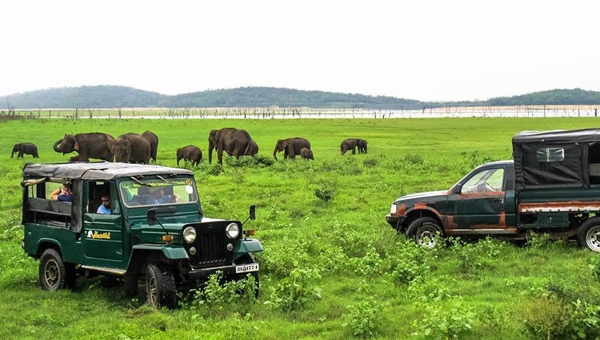 kaudulla national park