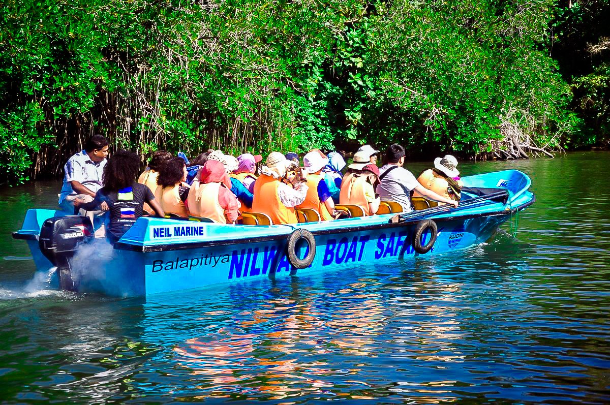 Image result for madu ganga river safari