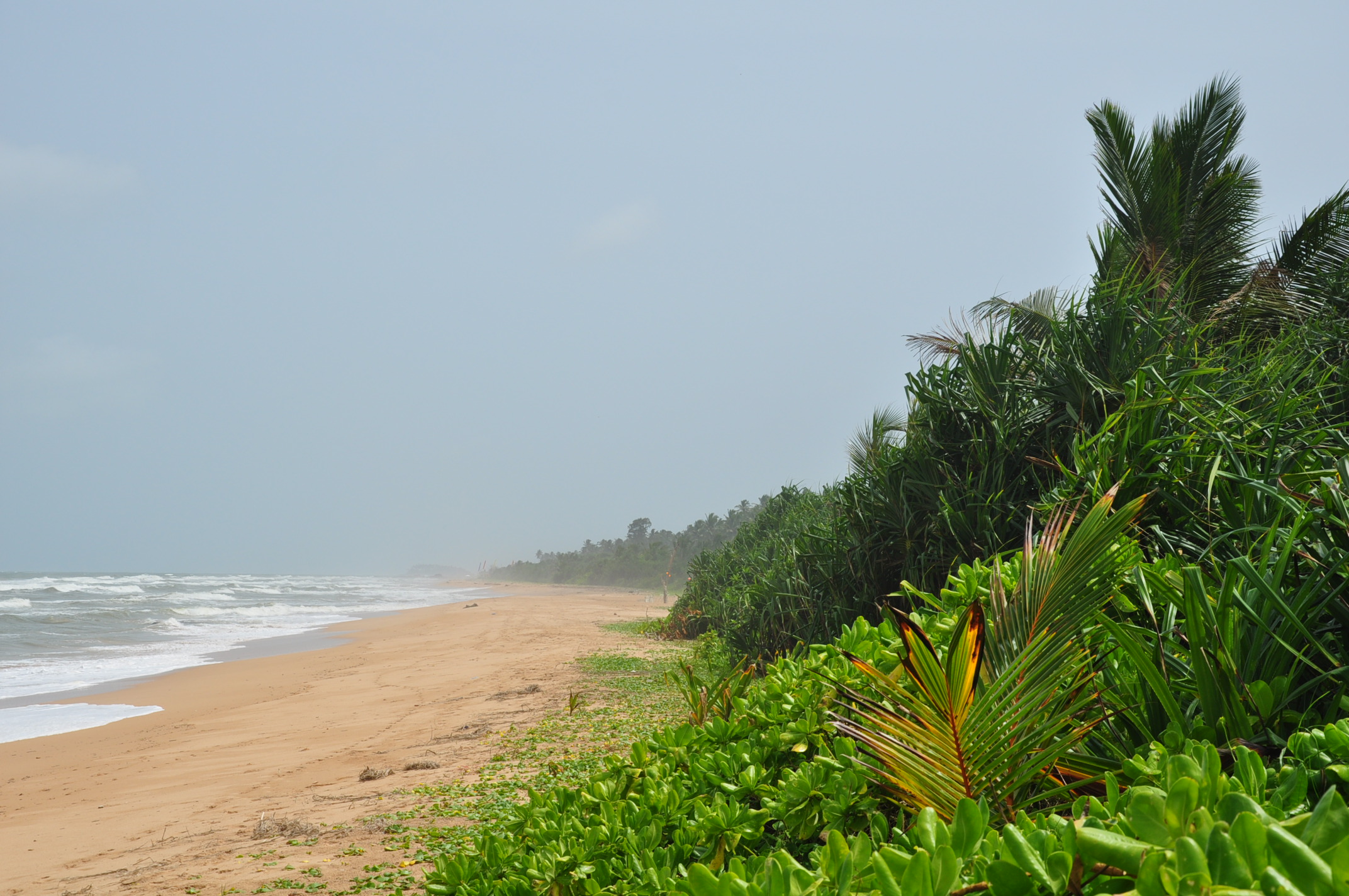 Sri-Lanka-Bentota-beach