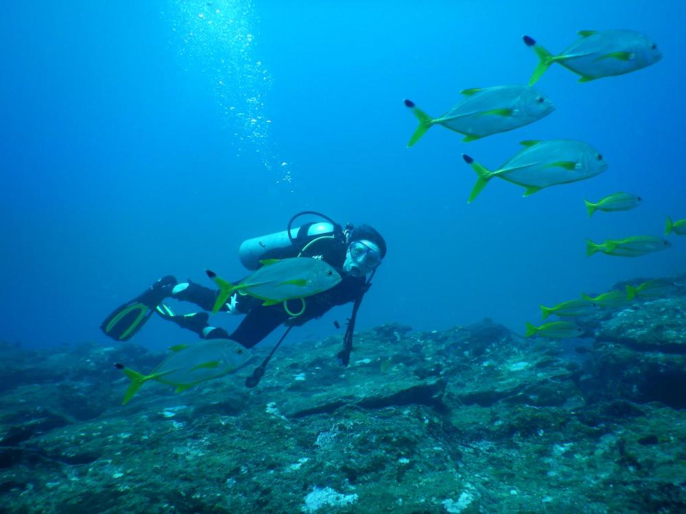 Kalpitiya Diving Centre