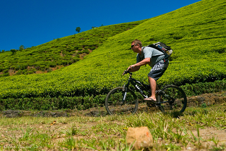 experience Sri Lanka 