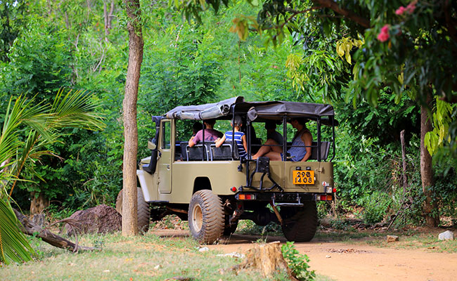 Image result for drive to minneriya national park