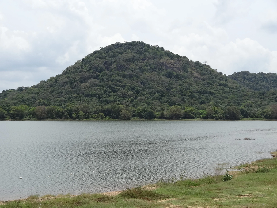 Mahasena