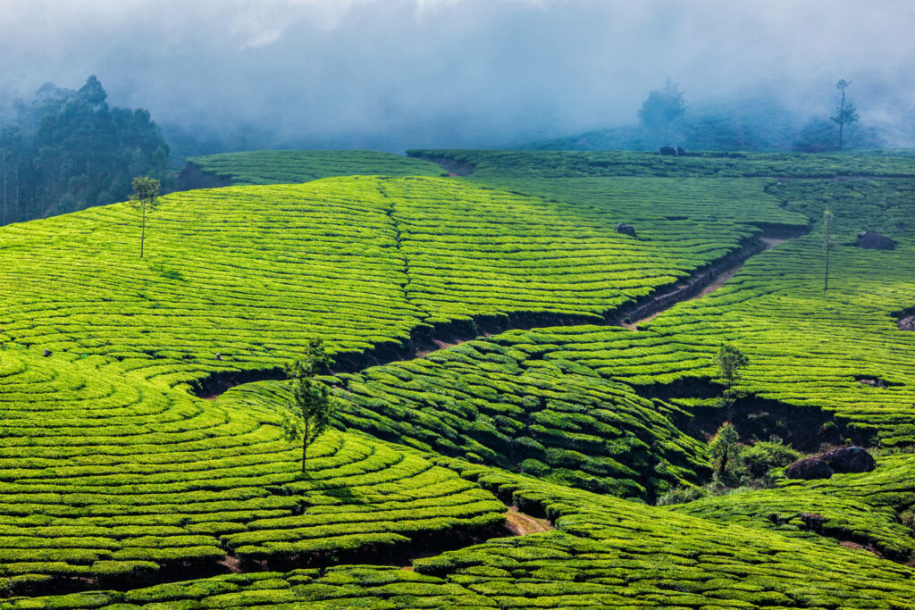 Planning Your Visit: Tips for First-Timers