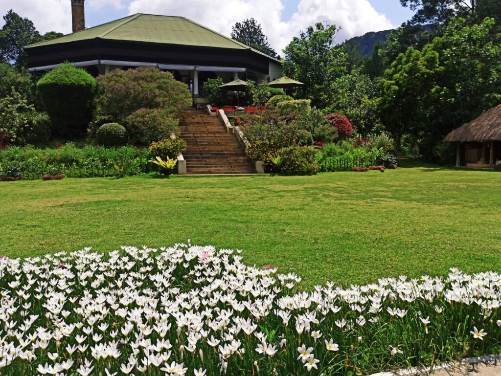Madulkelle Tea Estate