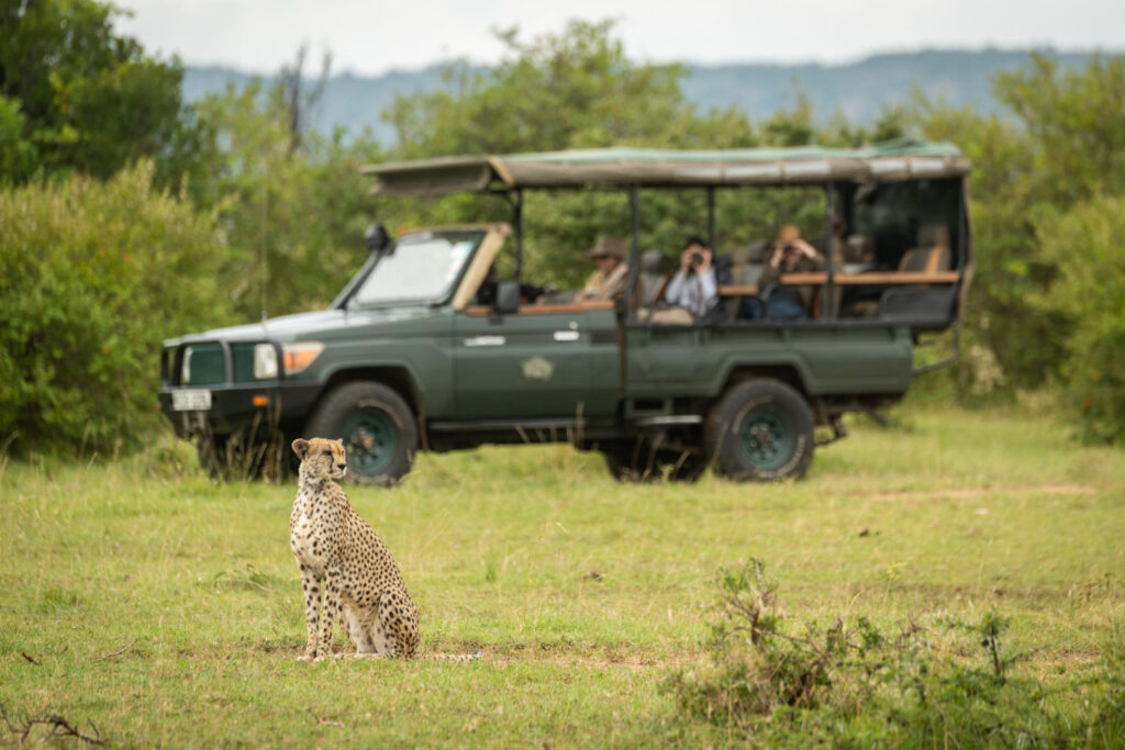 Safari Experience and Tour Types
