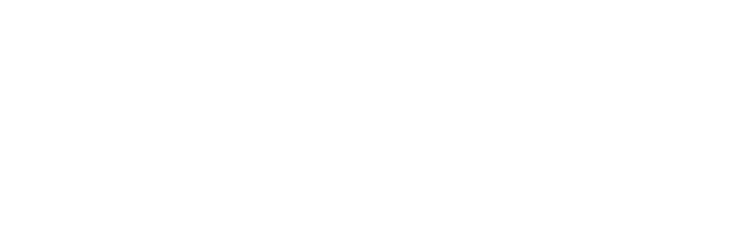 Sri Lanka Tourism Info